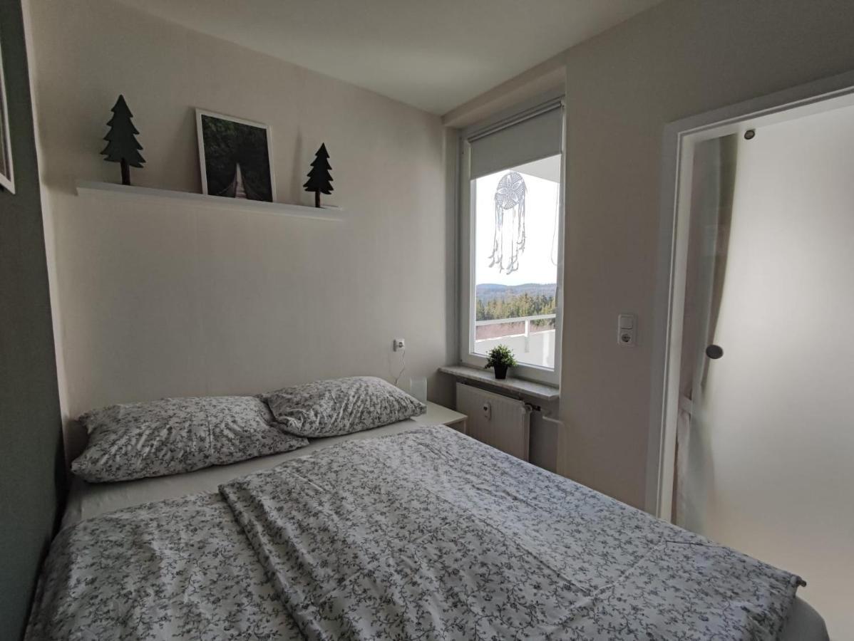 Ferienwohnung Skadi, Hahnenklee Гослар Экстерьер фото