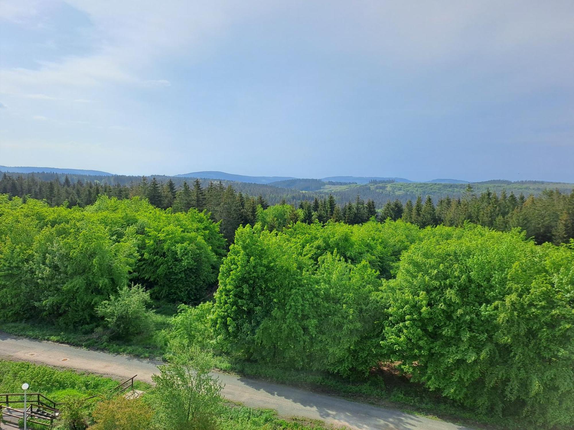 Ferienwohnung Skadi, Hahnenklee Гослар Экстерьер фото